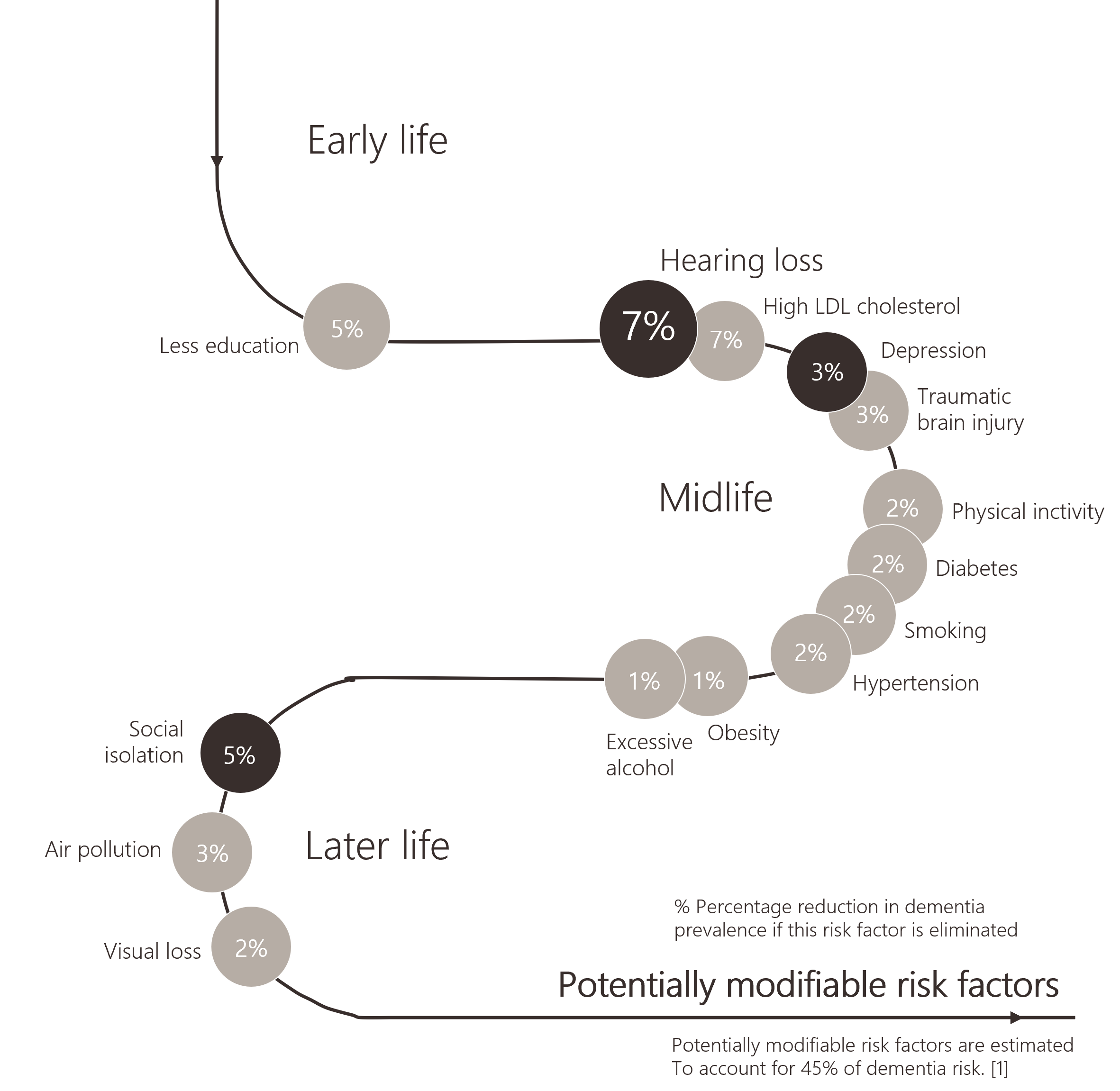 Dementia risk factors pathway